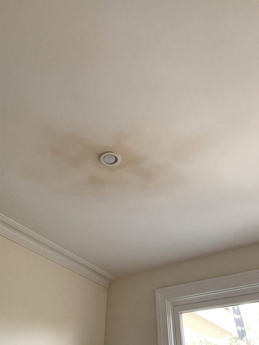 A water stain on a plaster ceiling